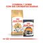 10 kg Royal Canin Adult Norwegian Forest pienso para gatos, , large indicador imagen numero 3