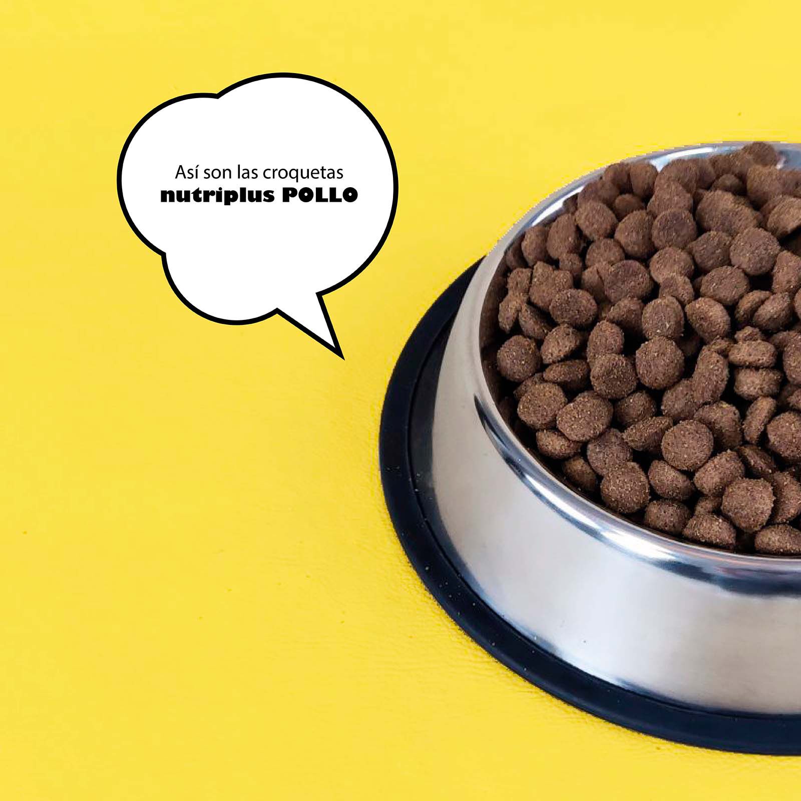 Pienso para perros adultos sabor Pollo, , large Imagen numero 3