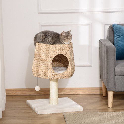 PawHut &aacute;rbol rascador crema para gatos peque&ntilde;os, , large Imagen numero 2