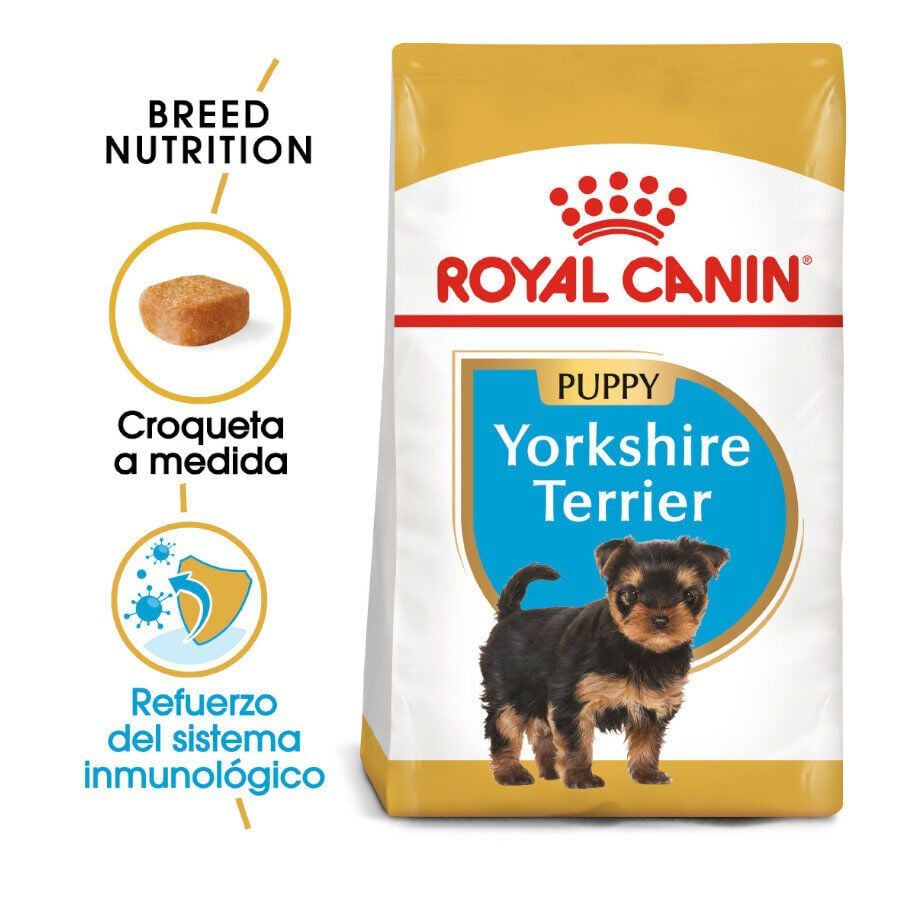 Royal Canin Puppy Yorkshire Terrier pienso para cachorros thumbnail