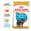7.5 kg Royal Canin Puppy Yorkshire Terrier pienso para cachorros, , large indicador imagen numero 2