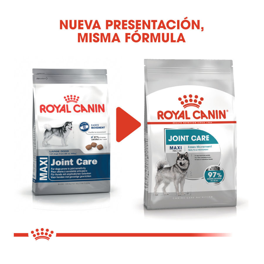 Royal Canin Joint Care Maxi pienso para perros thumbnail