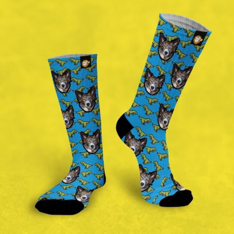 Calcetines personalizados Dino 2 mascotas color Azul, , large image number null