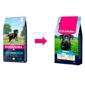 Eukanuba Adult Large Pollo pienso para perros