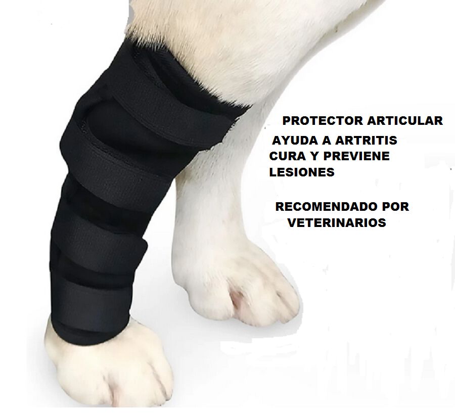 Protector Articular Delantero Talla M, , large Imagen numero 4