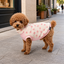 Gotoo Jersey Estampado Estrellas para perros, , large indicador imagen numero 1