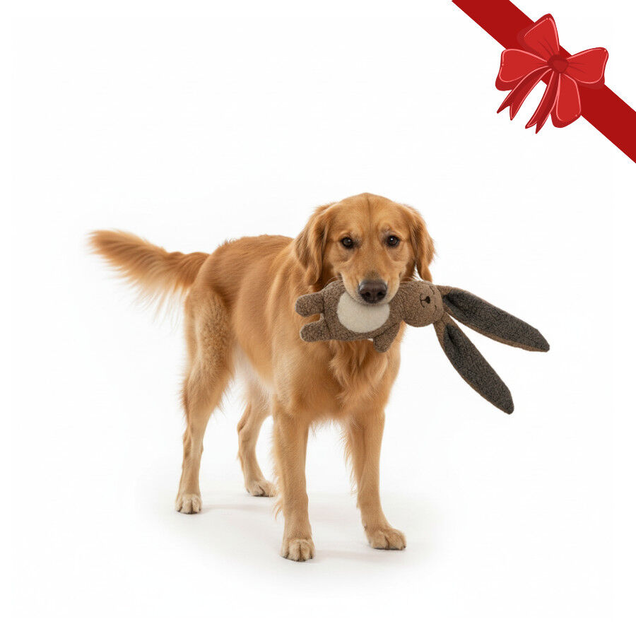 Wonder Christmas Peluche Conejo Navide&ntilde;o para perros, , large Imagen numero 1