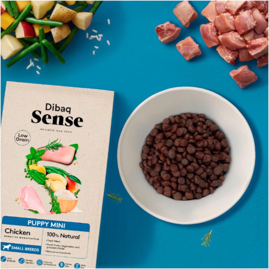 2 kg Dibaq Sense Low Grain Puppy Mini Pollo Pienso para perros, , large Imagen numero 2