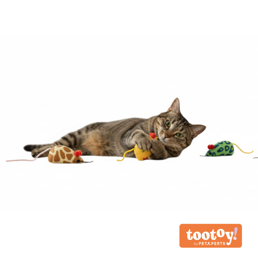 Tootoy! Pack de Ratones con Catnit Estampados para gatos, , large Imagen numero 9