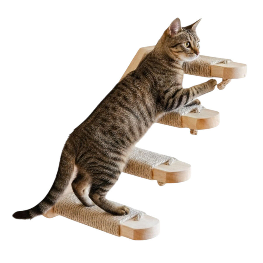 Althea Living - Escaleras de Escalada para Gatos Salitre, , large Imagen numero 2