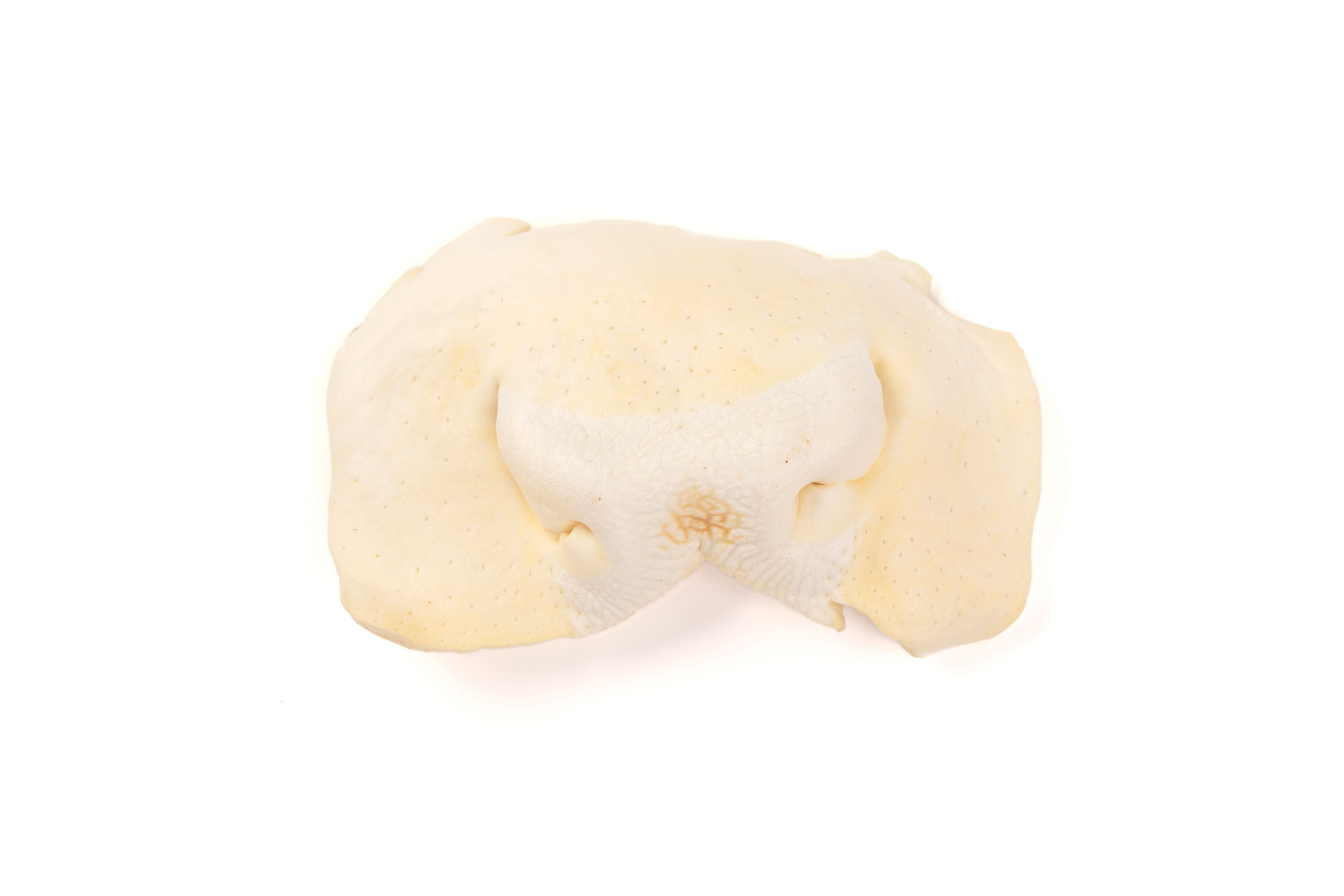 BIMORDISCOS Morro deshidratado de vaca para perros, , large Imagen numero 3