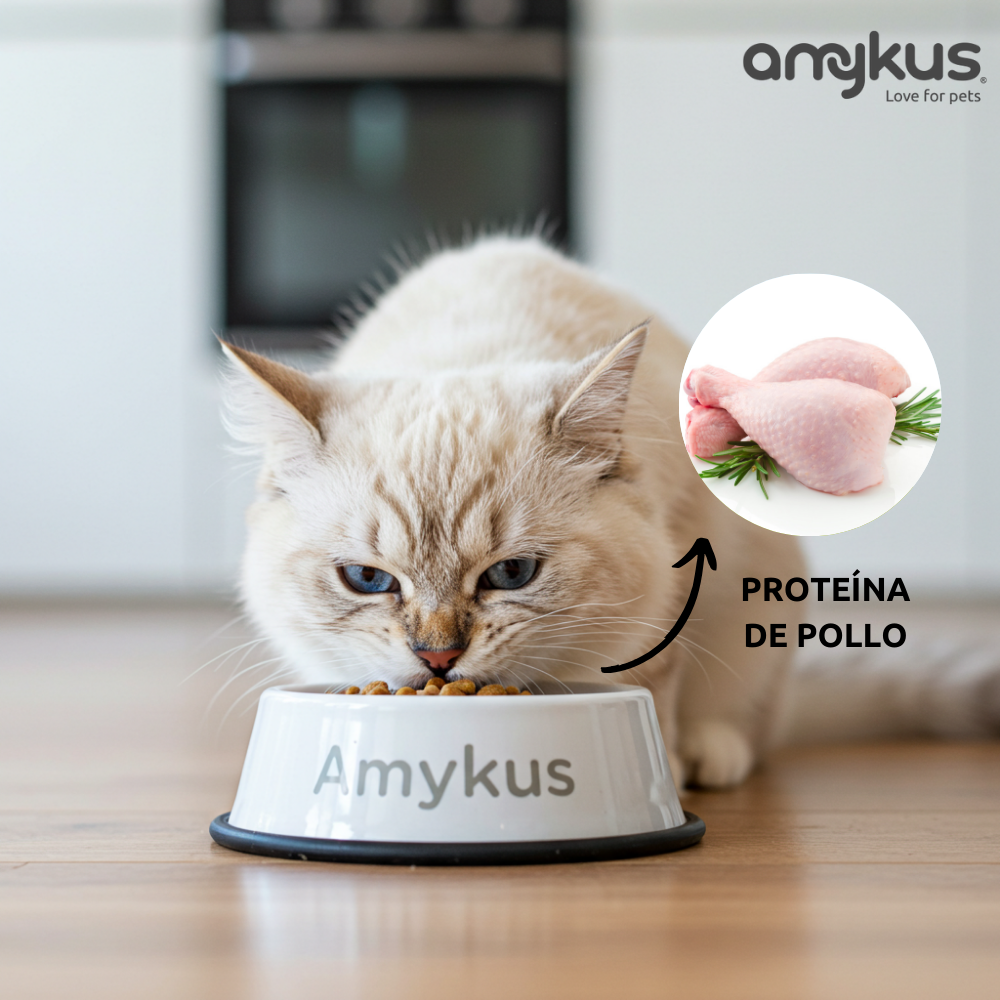 Amykus Original Cat Adult pienso de pollo para gatos, , large Imagen numero 4