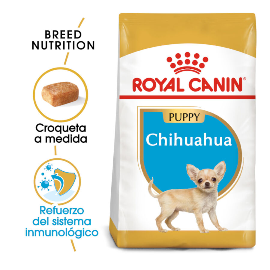 Royal Canin Puppy Chihuahua pienso para cachorros thumbnail