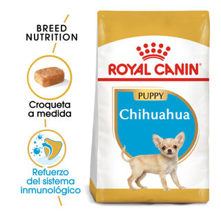 Royal Canin Puppy Chihuahua pienso para cachorros