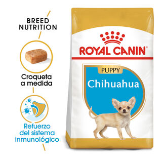Royal Canin Puppy Chihuahua pienso para perros