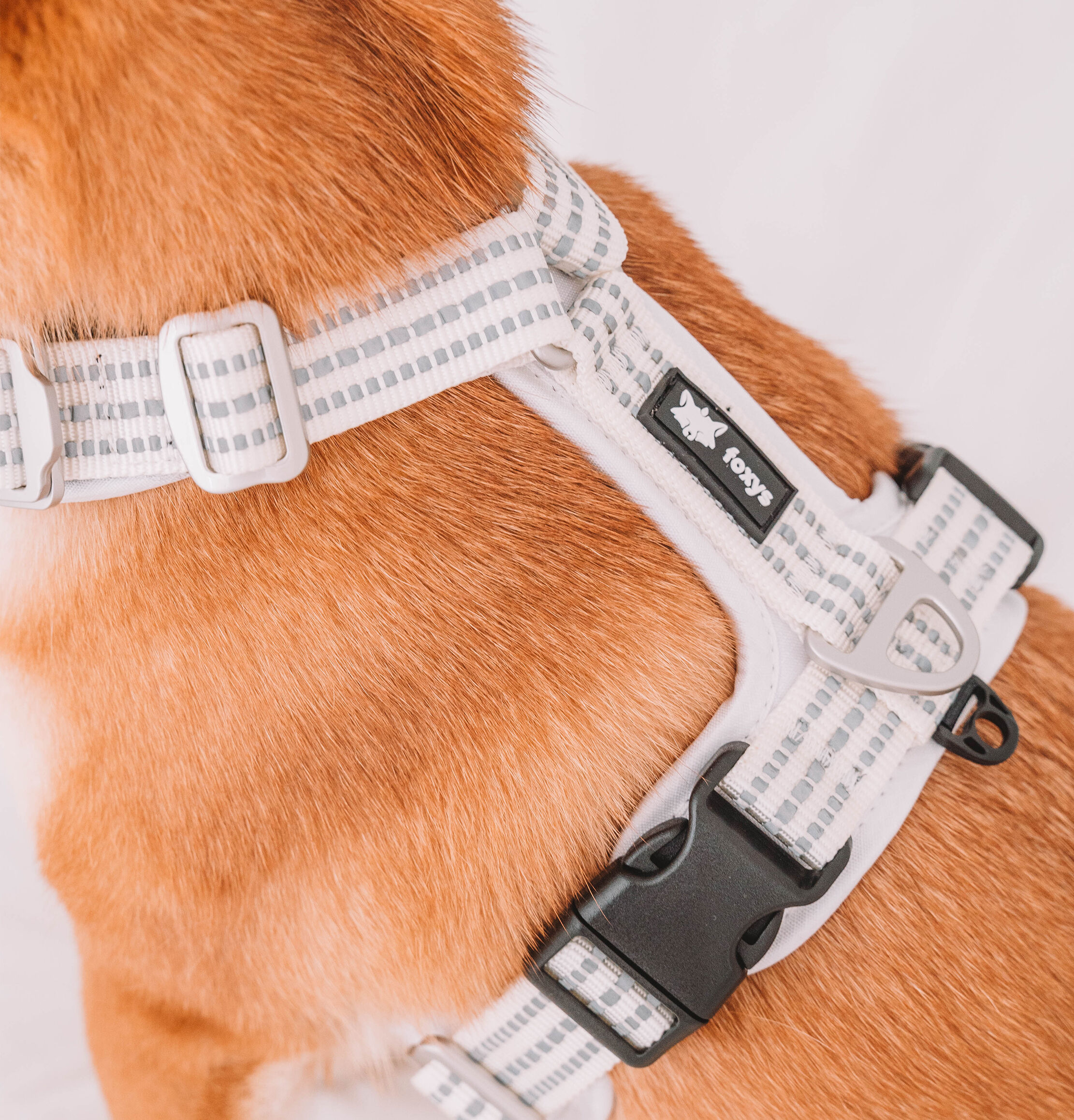 Arn&eacute;s Foxys Antitirones con hebillas aluminio reforzadas color Blanco, , large Imagen numero 4