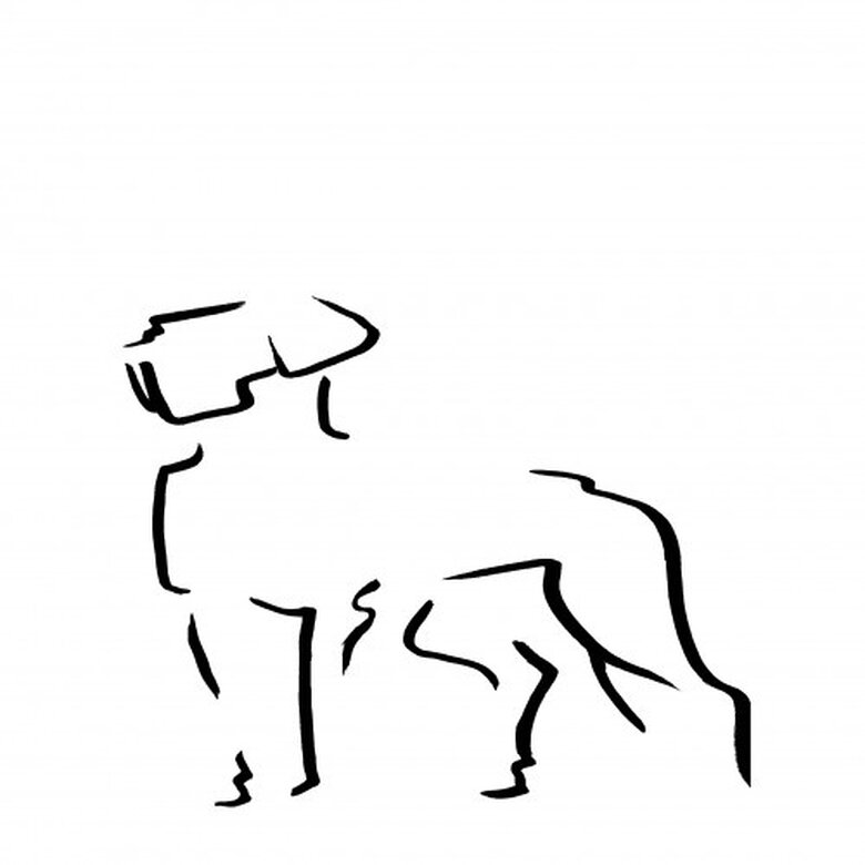 Ilustración de Dogo A4 sin marco color Blanco, , large image number null