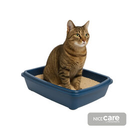 Nice Care Bandeja Sanitaria Azul para gatos