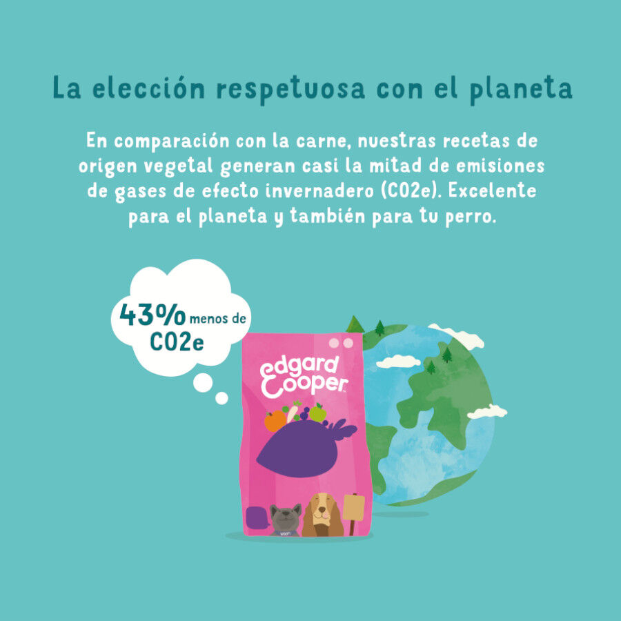 Edgard &amp; Cooper Remolacha y Calabaza pienso para perros thumbnail