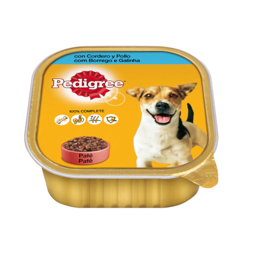 son mejores los perros de pedigrí