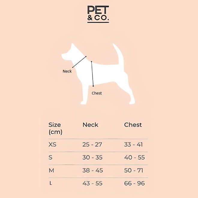 Pet and Co Set De Arn&eacute;s y Correa Rosa Polvo Rex - Perros, , large Imagen numero 5
