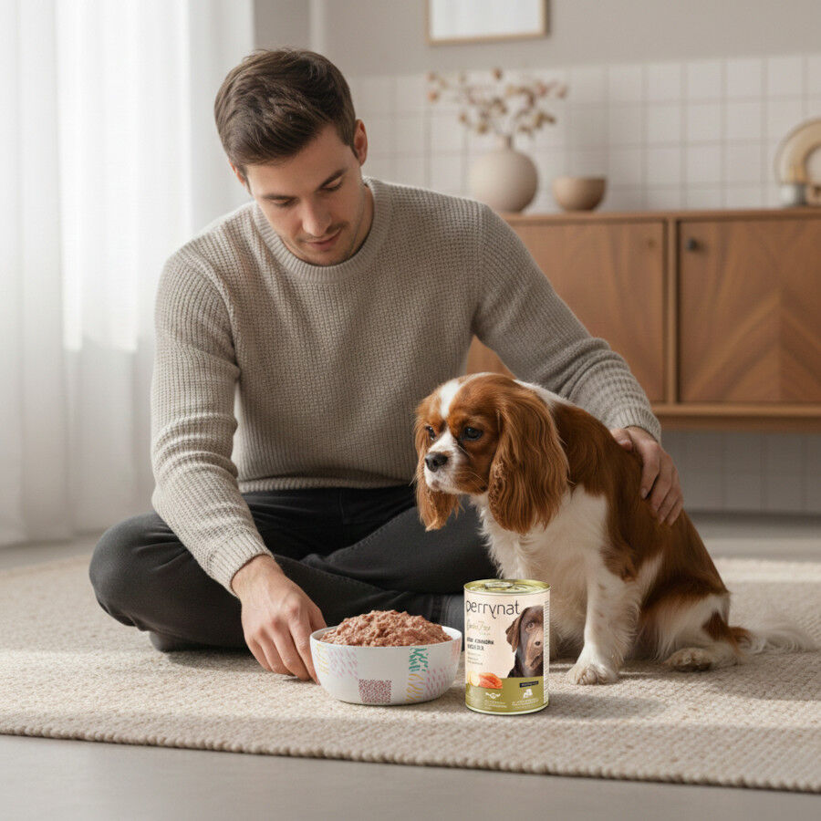 Dibaq Perrynat Lata Grain Free Salm&oacute;n y Patata para perros, , large Imagen numero 3
