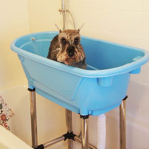 Ba&ntilde;era para mascotas perros y gatos con patas Ib&aacute;&ntilde;ez port&aacute;til Tailor's bath Medidas: 96 x 50 x (alt.) 92 cm, , large Imagen numero 3