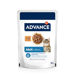 Advance Adult Bocaditos con Pollo en salsa sobre para gatos