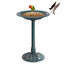 COSTWAY Comedero para P&aacute;jaros de Pie Estaci&oacute;n de Alimentaci&oacute;n de Aves para Balc&oacute;n Jard&iacute;n Patio Decoraci&oacute;n Exterior, , large indicador imagen numero 1