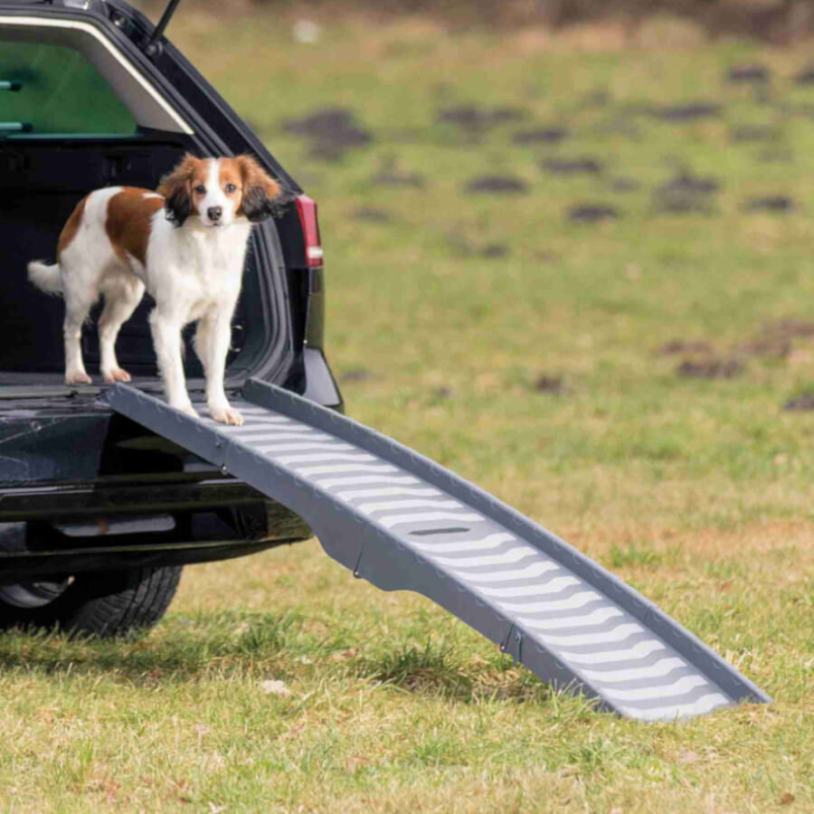 Trixie Rampa Plegable Gris de pl&aacute;stico para perros, , large Imagen numero 5