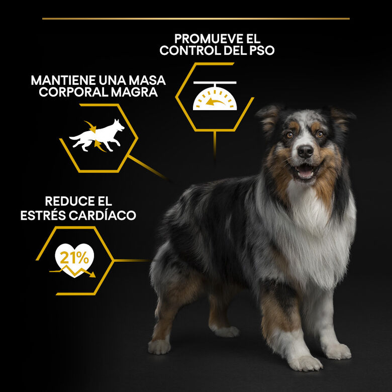 Pro Plan Adult All Sizes Light/Sterilised Pescado Blanco pienso para perros thumbnail