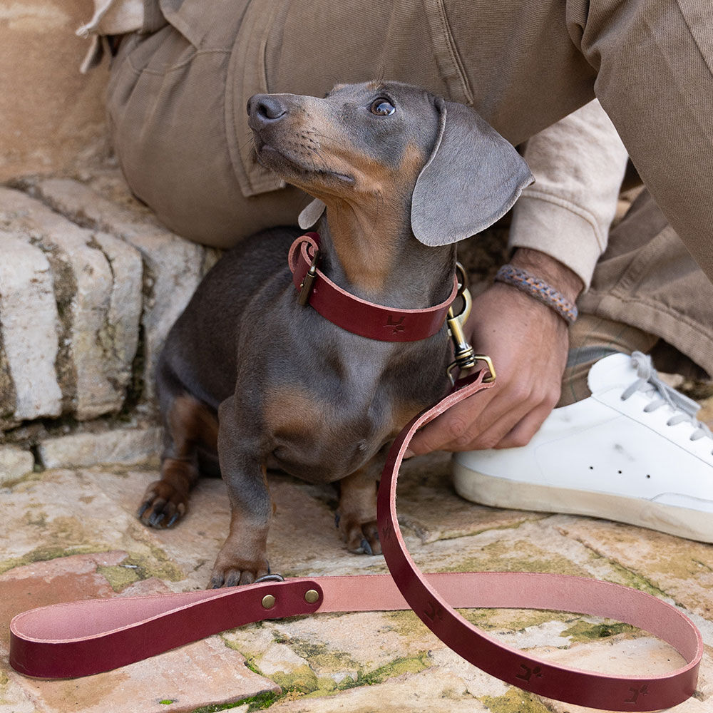 Ladran Gaucho Collar cereza de cuero premium para perros, , large Imagen numero 2