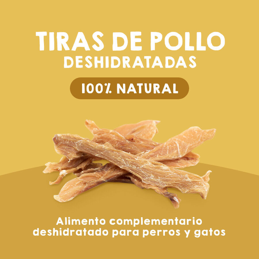 Tiras de pechuga de pollo deshidratadas. 100g. Chuches para perros y gatos. 100% Natural. MAIKAI PETS., , large Imagen numero 2