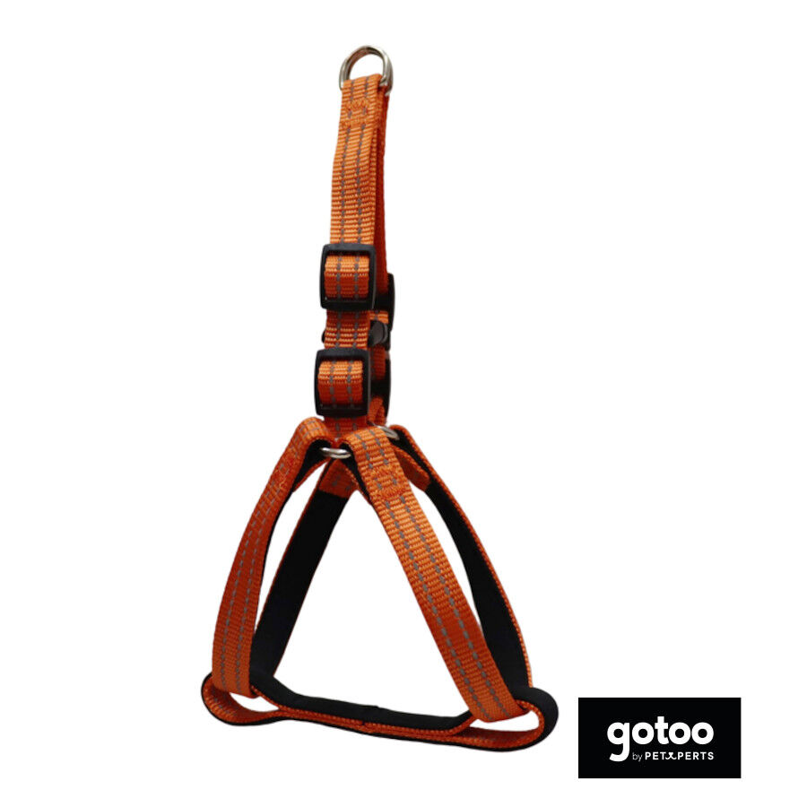 Gotoo Arn&eacute;s reflectante de neopreno naranja para perros, , large Imagen numero 2