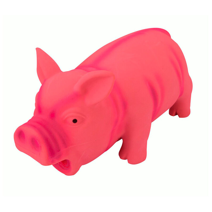 Juguetes de latex para perros store