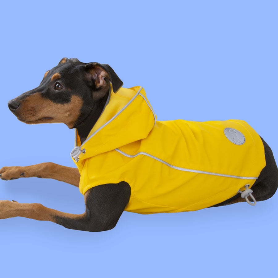 Outech Fisher Impermeable amarillo para perros thumbnail