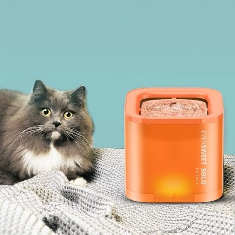 Petkit fuente inteligente de agua naranja para gatos, , large image number null