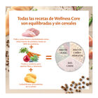 Wellness Core Adult Sterilised Pollo y Pavo pienso para gatos, , large image number null