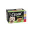 8 tarrinas x 150 g Cesar Recetas de la huerta Tarrina en Pat&eacute; y Gelatina para Perros , , large indicador imagen numero 1