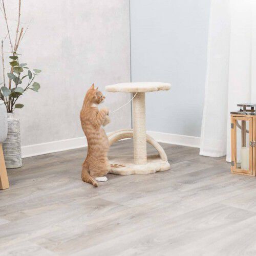 Trixie Rascador Junior Victoria para gatos color Beige, , large Imagen numero 5