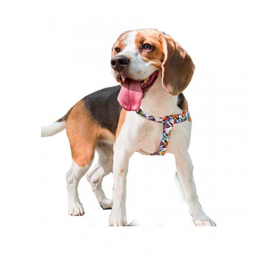 Zooz arn&eacute;s snoopy azul para perros, , large Imagen numero 2