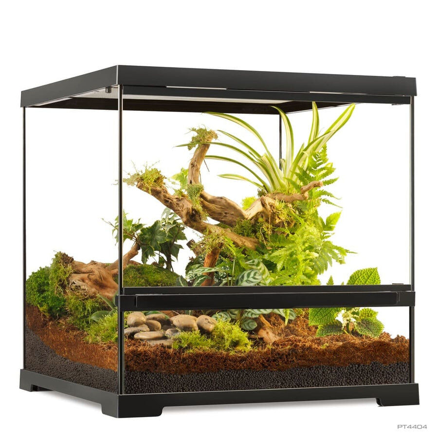 Exo Terra - Pro Terrarium-S,45x45x60cm-TALL, , large Imagen numero 7