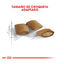 4 kg Royal Canin Ageing 12+ pienso para gatos, , large indicador imagen numero 4