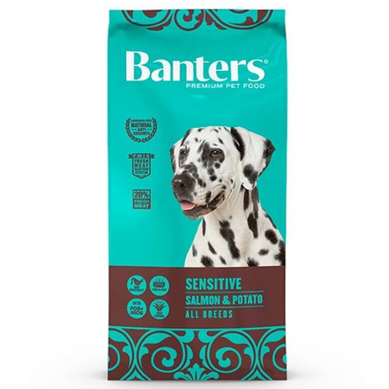 Banters PIENSO BANTERS SENSITIVE SALMON Y PATATA