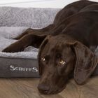 Cama De Mascota color Gris, , large image number null