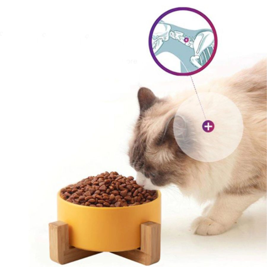 Comedero o cuenco de cer&aacute;mica AMARILLO para mascotas, , large Imagen numero 4