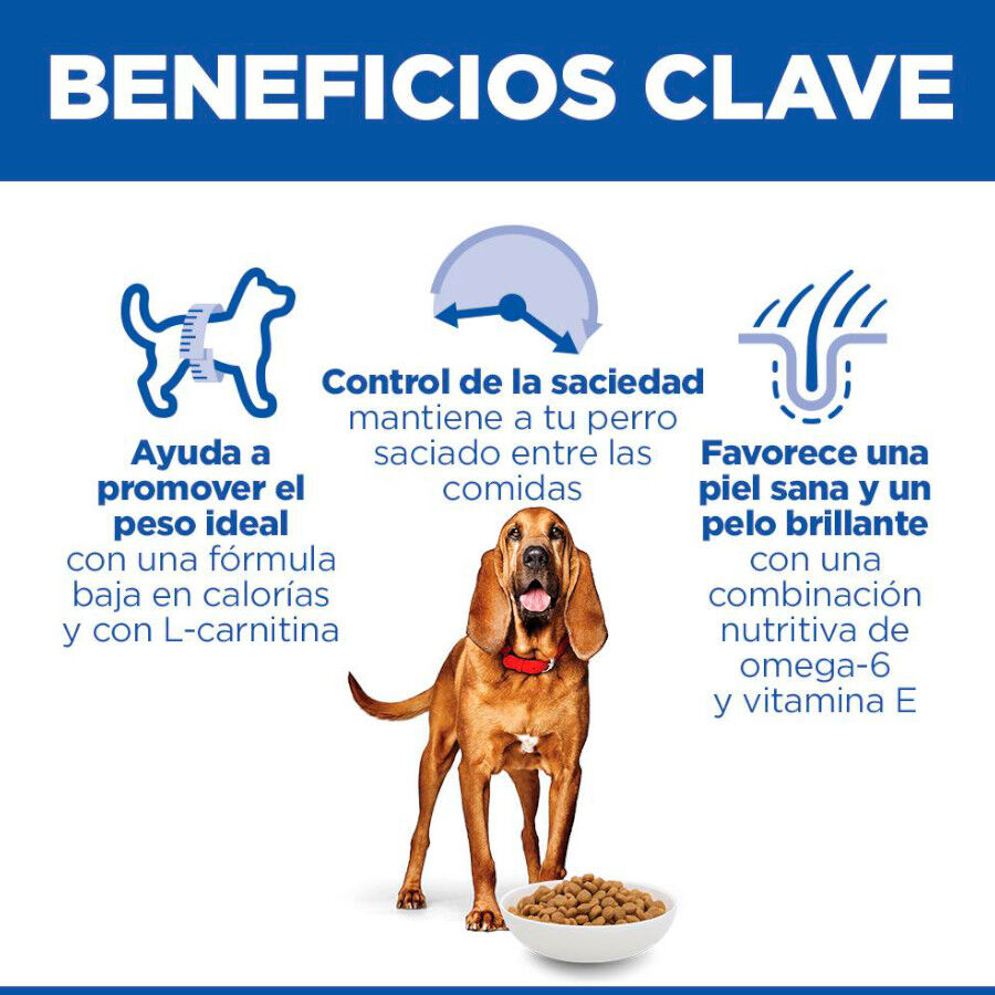 12 kg Hill's Science Plan Light Mature Adult 7+ Medium Pollo pienso para perros, , large Imagen numero 5