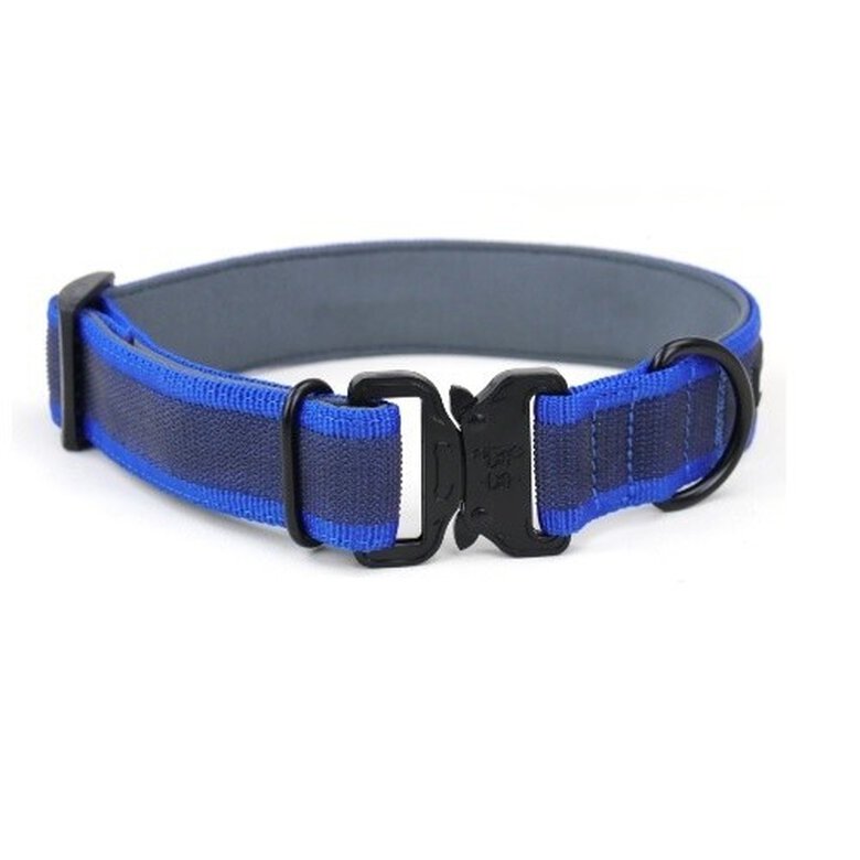 APEX DOG GEAR collar ajustable con cierre metálico azul para perros