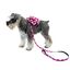 Mochila para perros pequeños MOCHILA LUNARES ROSA, , large indicador imagen numero 3