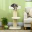 PawHut Árbol para Gatos Crema, , large indicador imagen numero 2